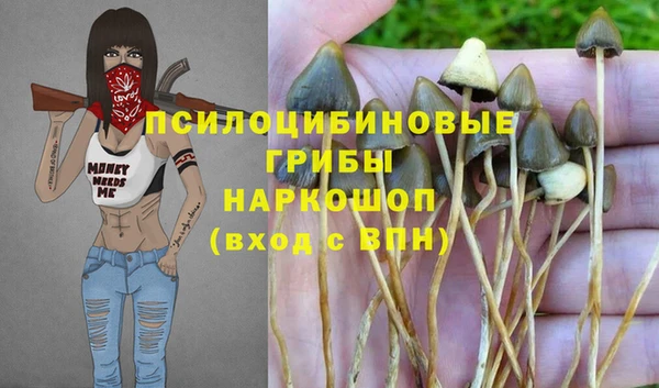 кокаин Заводоуковск