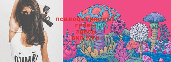 сатива Заволжье